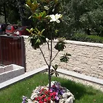 شقة Ena *