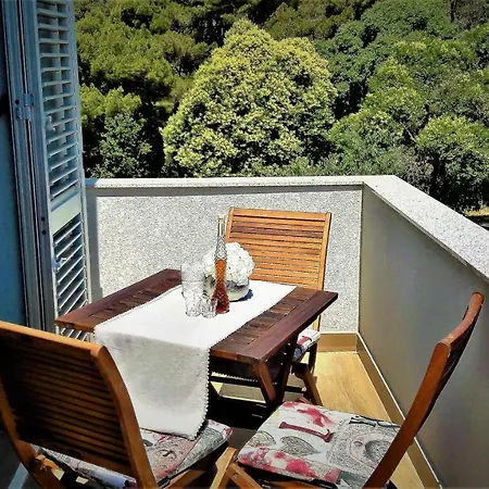 Ena Apartment Zadar